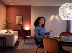 Philips Hue Inteligentna żarówka A60 E27 - 1100* Żarówki