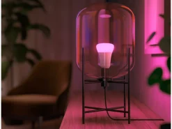 Philips Hue Inteligentna żarówka A60 E27 - 800 (2 szt.)* Żarówki