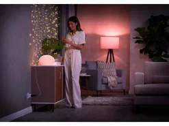 Philips Hue Wtyczka Smart plug* Akcesoria